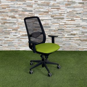 Cadira Delaoliva verd/negre