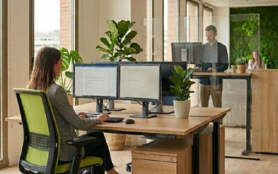 L’economia circular a l’oficina: per què reutilitzar és el futur del mobiliari professional